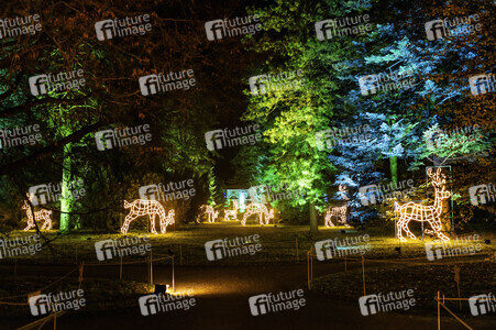 Christmas Garden 2024 in Dresden