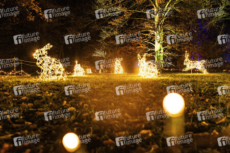 Christmas Garden 2024 in Dresden