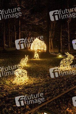 Christmas Garden 2024 in Dresden