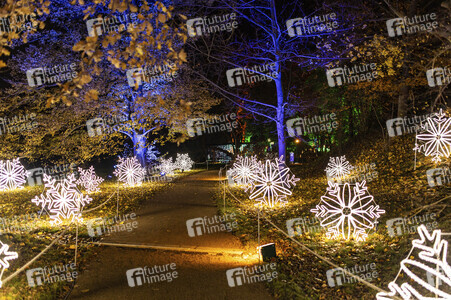 Christmas Garden 2024 in Dresden