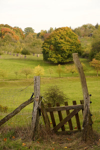 21.10.2024<br>Symbolfoto Herbst