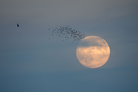 16.10.2024<br>Vollmond über Landsberg