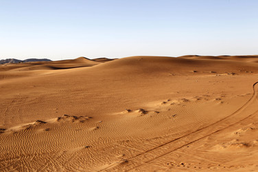 Desert Safari, Dubai