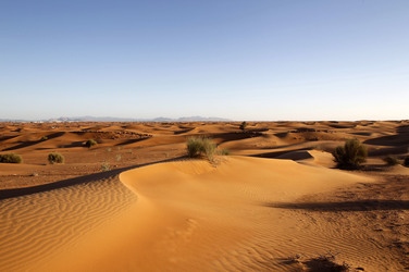 Desert Safari, Dubai