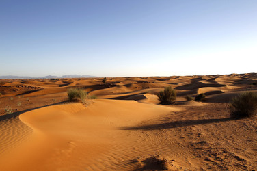 Desert Safari, Dubai