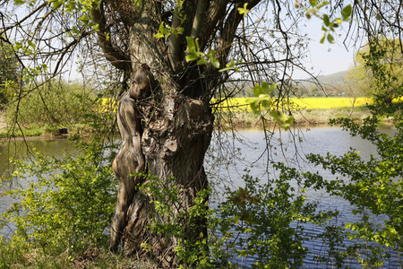 NATURE ART: Baum am Fischteich / Tree at the Fish Pond Bodypainting