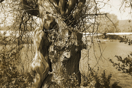 NATURE ART: Baum am Fischteich / Tree at the Fish Pond Bodypainting