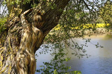 NATURE ART: Baum am Fischteich / Tree at the Fish Pond Bodypainting